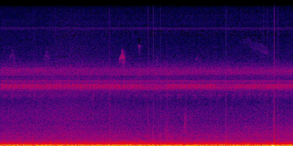 spectrogram