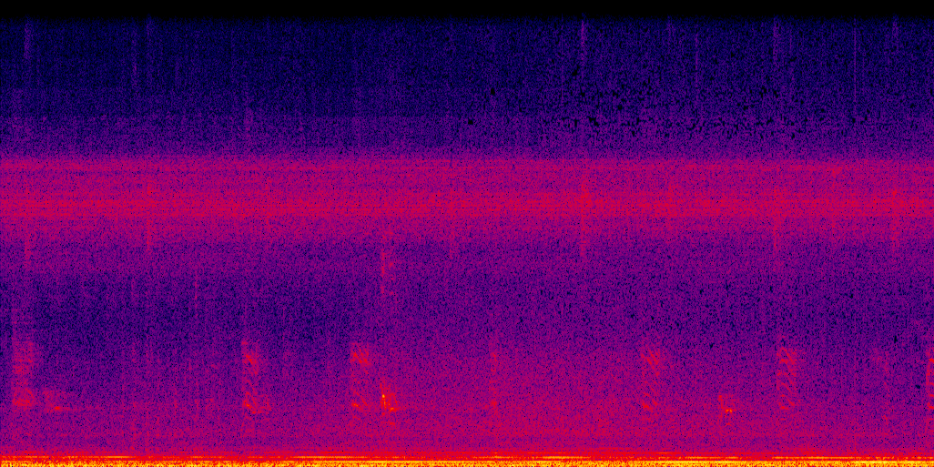 spectrogram