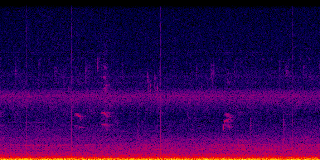 spectrogram
