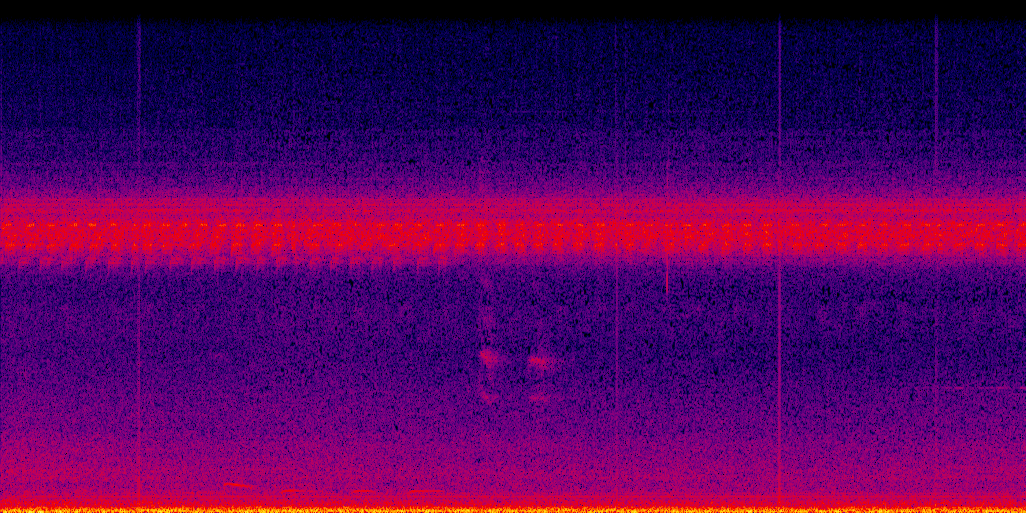 spectrogram