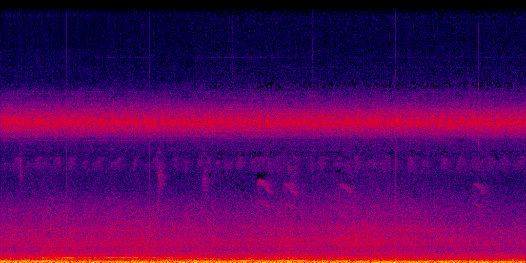 spectrogram