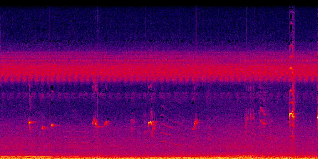 spectrogram