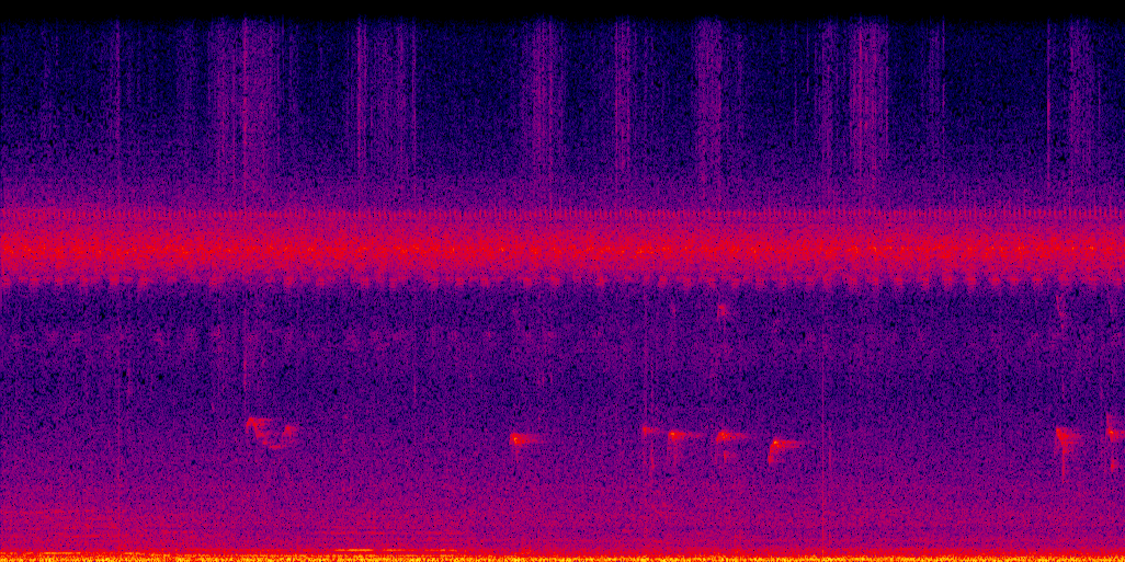 spectrogram