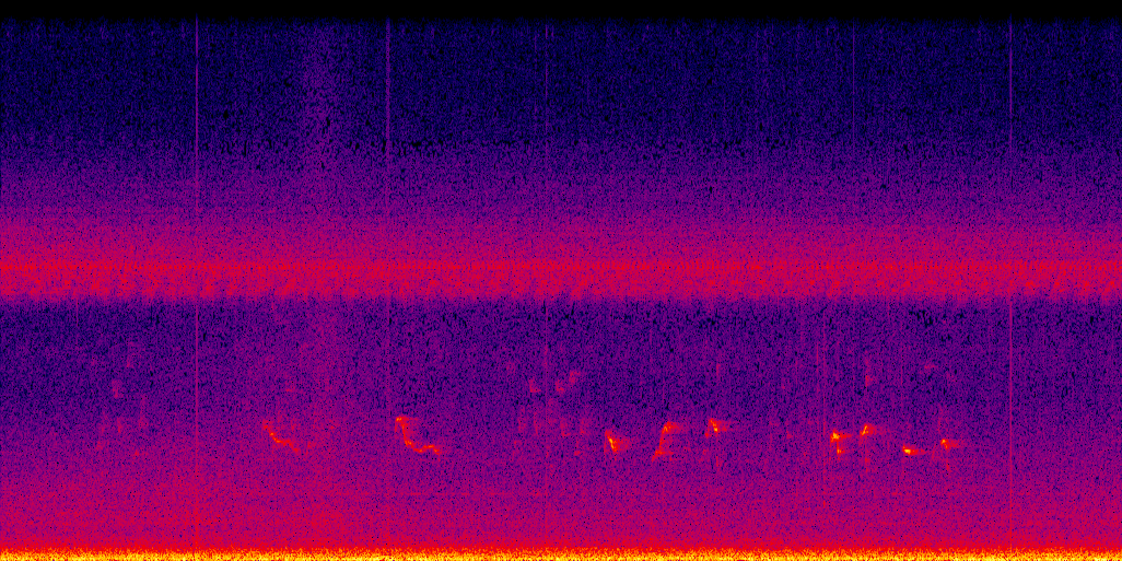 spectrogram