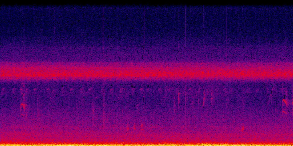 spectrogram