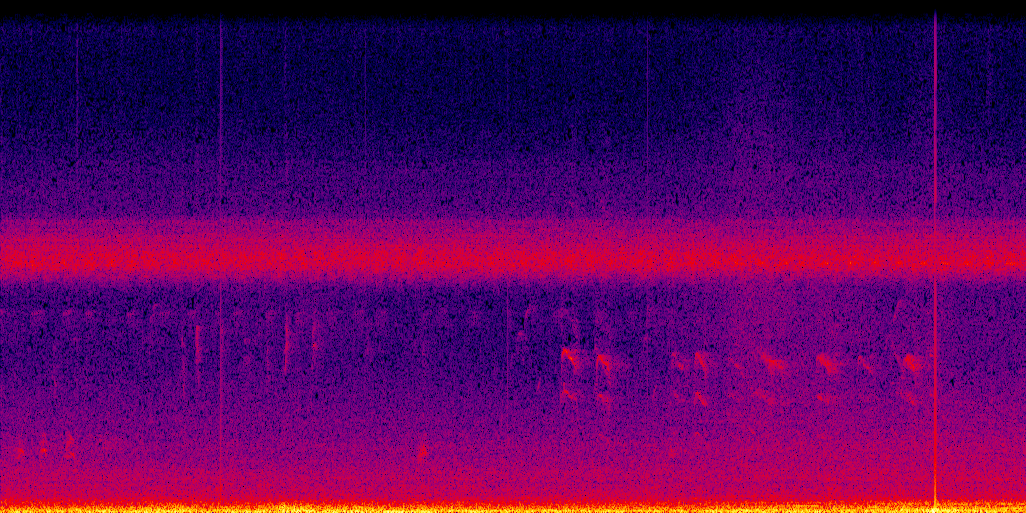 spectrogram