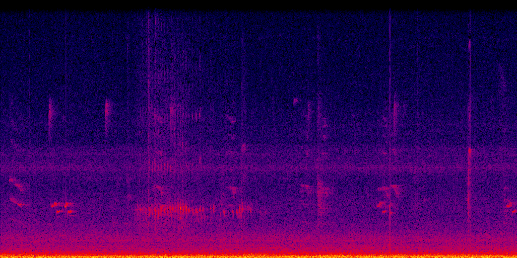 spectrogram