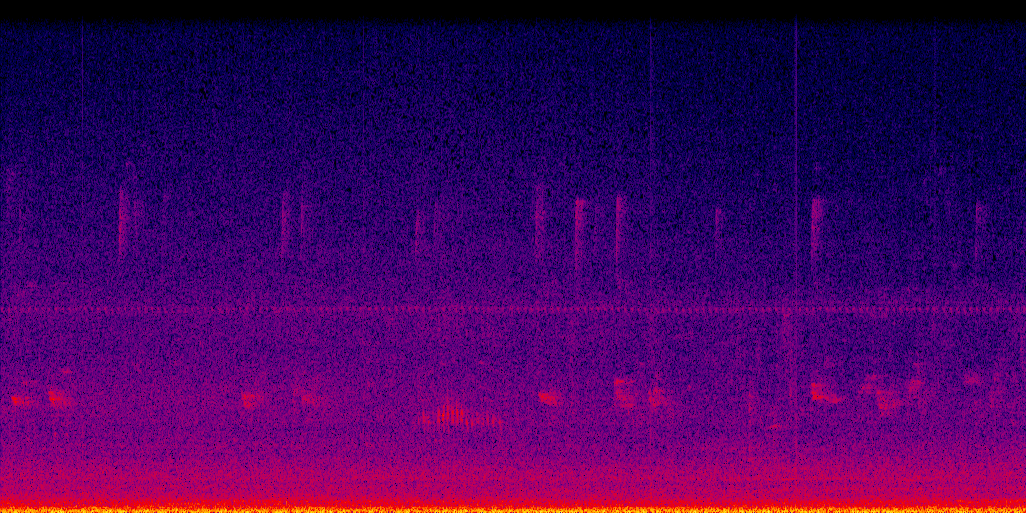 spectrogram