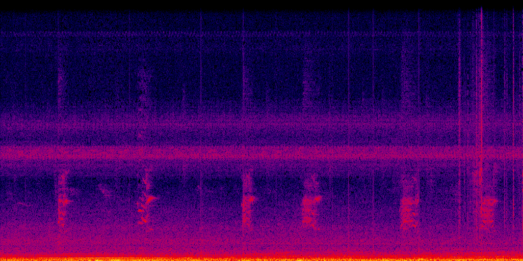 spectrogram