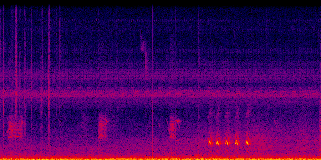 spectrogram