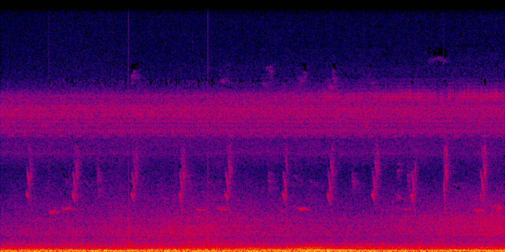 spectrogram