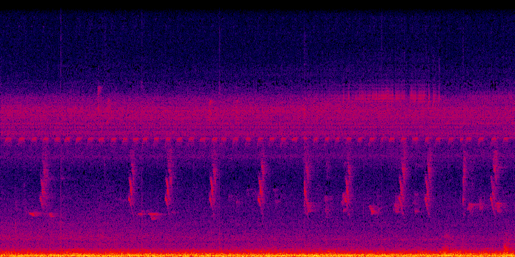 spectrogram
