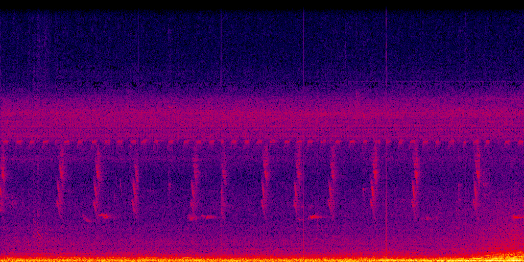 spectrogram