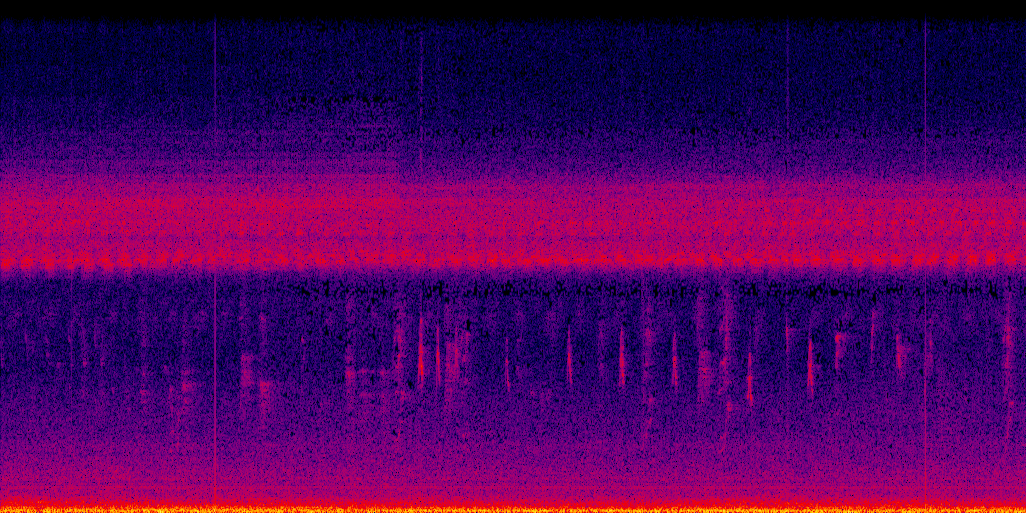 spectrogram