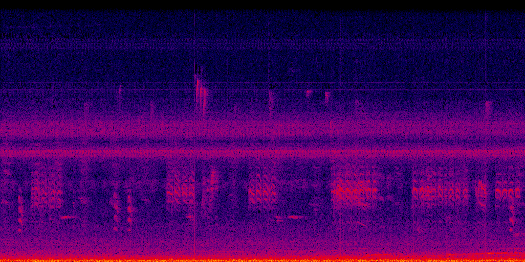 spectrogram