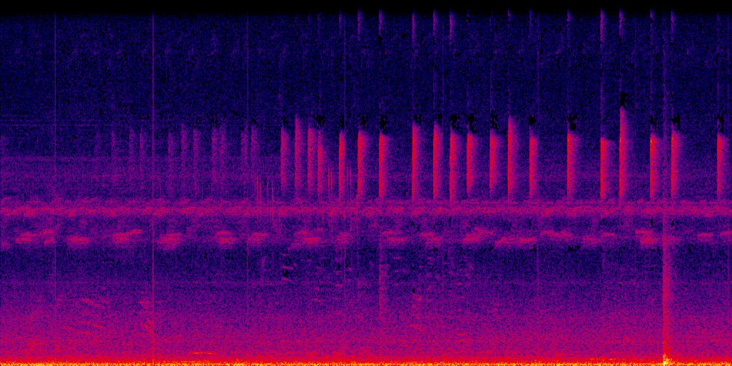 spectrogram