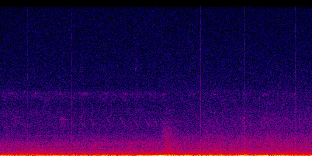 spectrogram