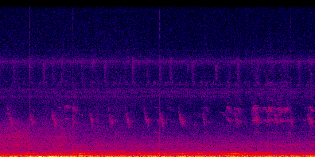 spectrogram