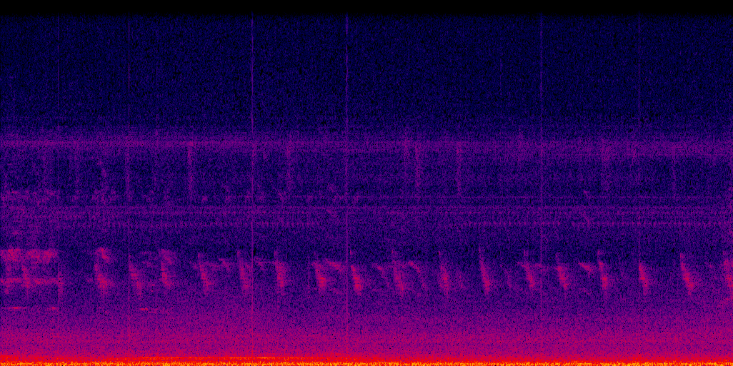 spectrogram