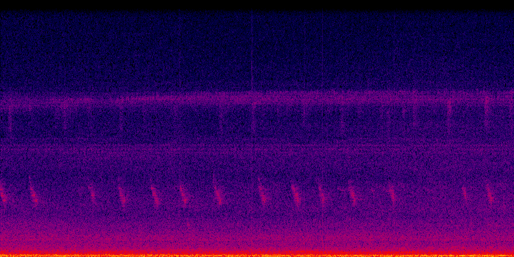 spectrogram