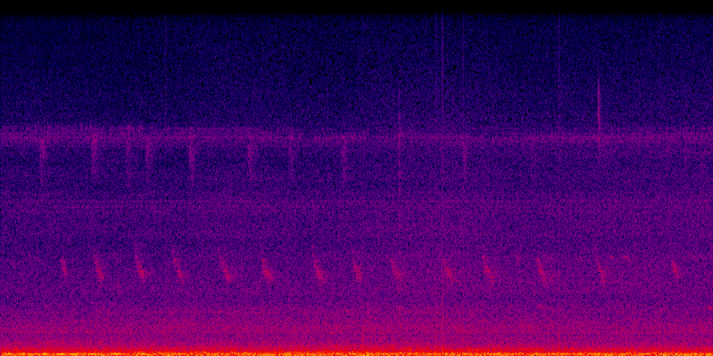spectrogram