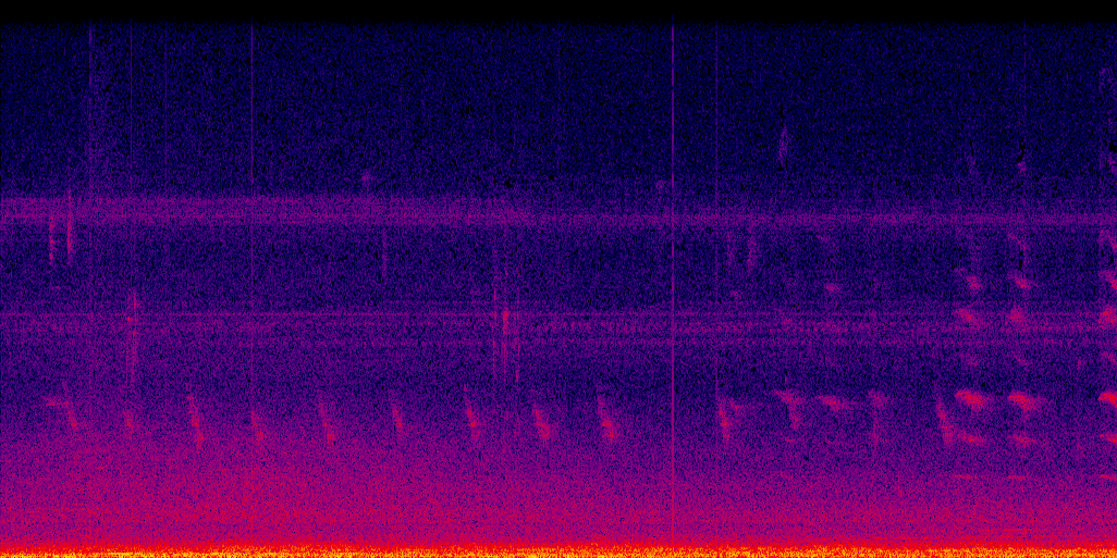 spectrogram