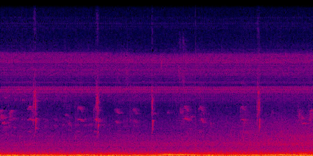 spectrogram