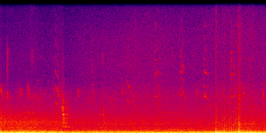 spectrogram
