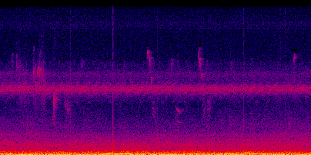 spectrogram