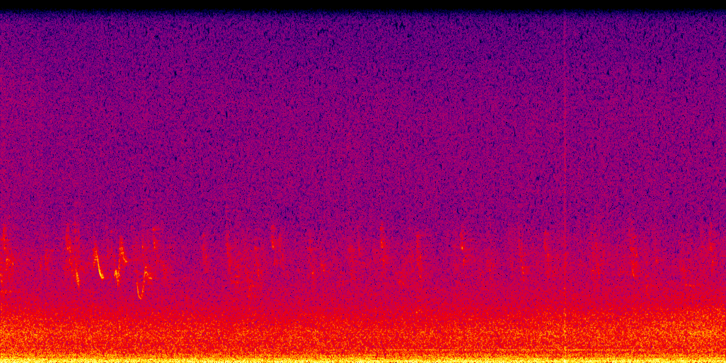 spectrogram