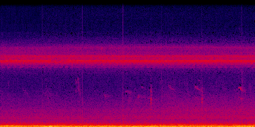 spectrogram