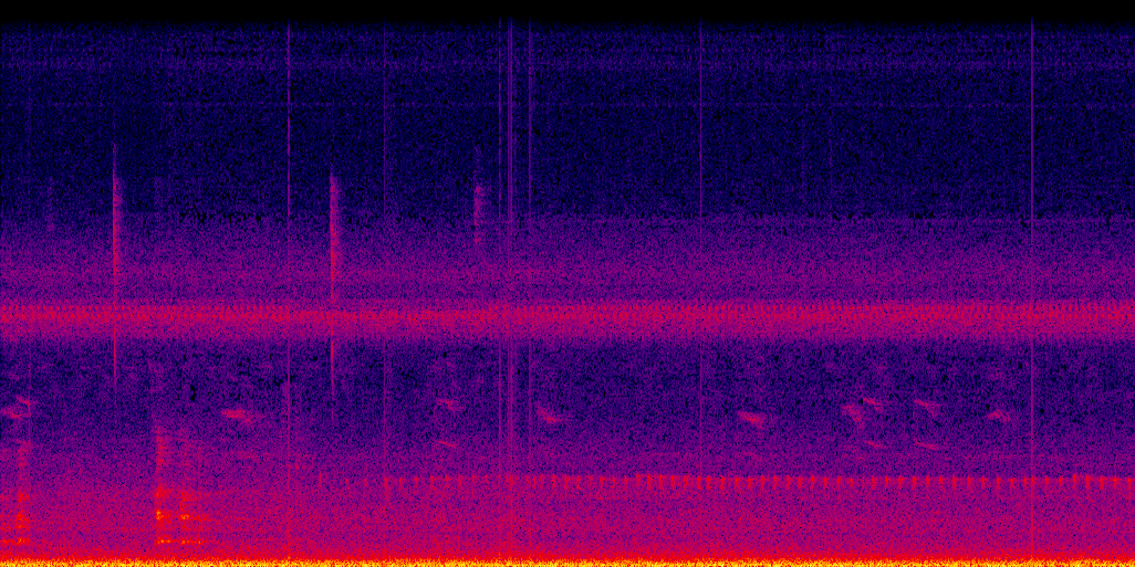 spectrogram