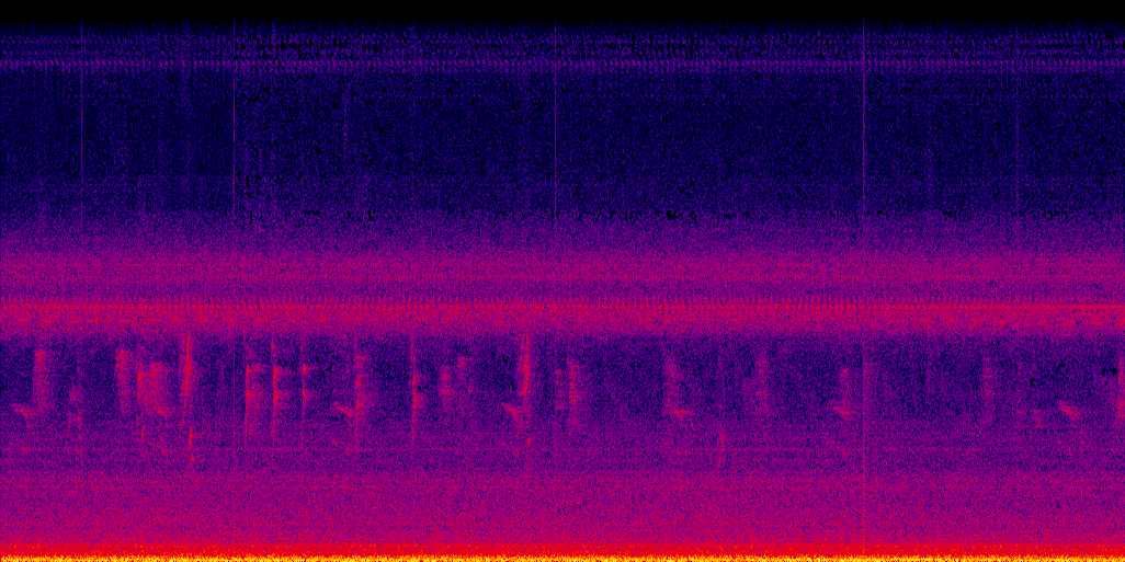 spectrogram