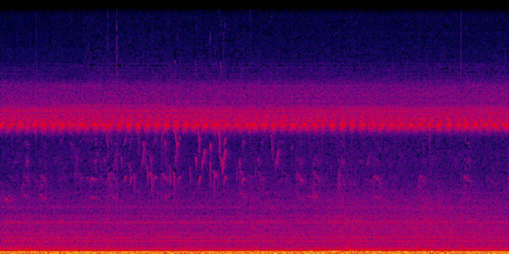 spectrogram