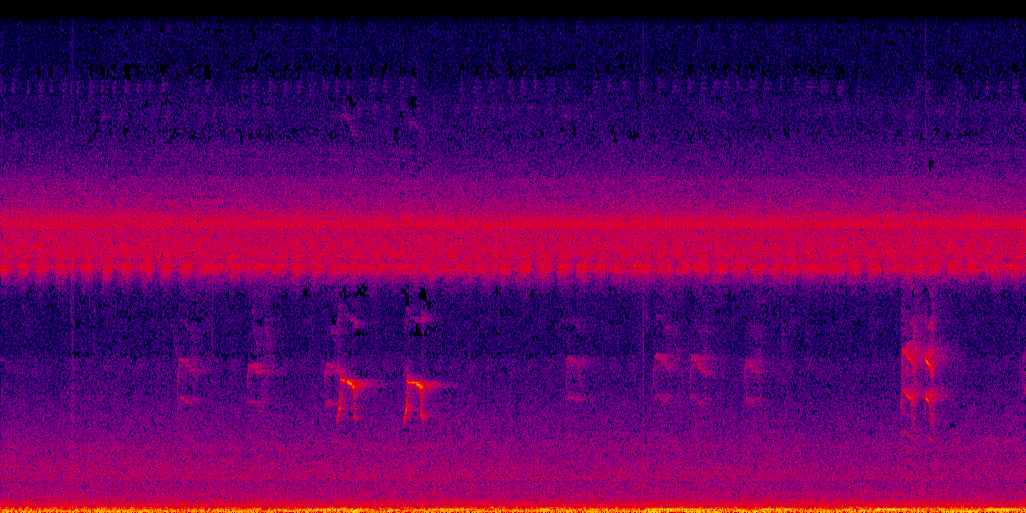 spectrogram