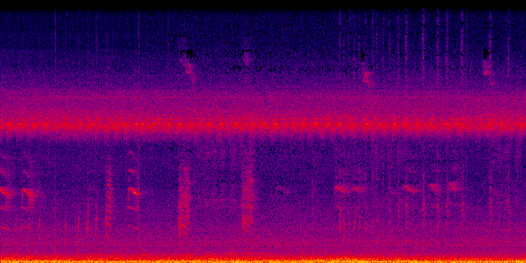 spectrogram