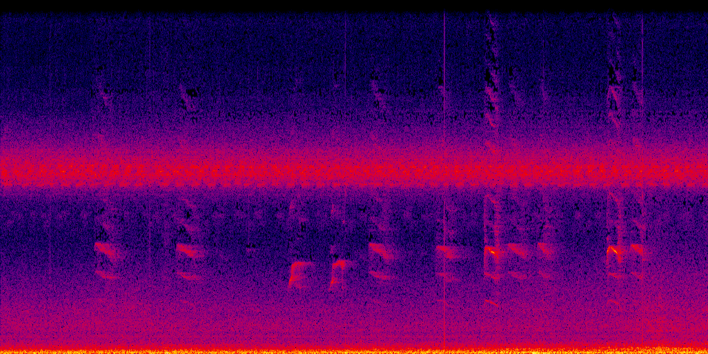 spectrogram