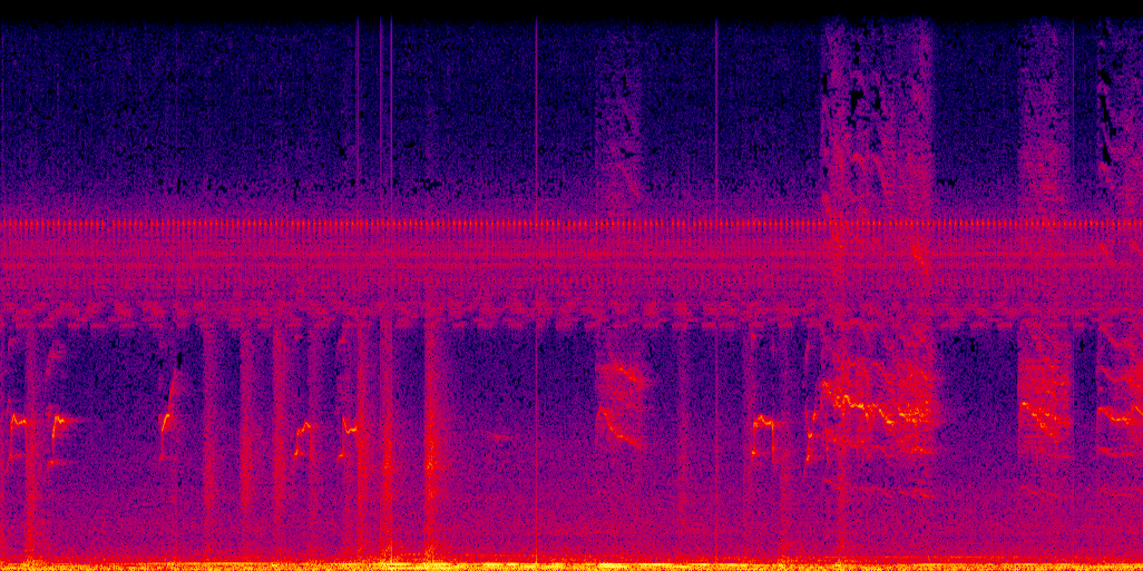 spectrogram
