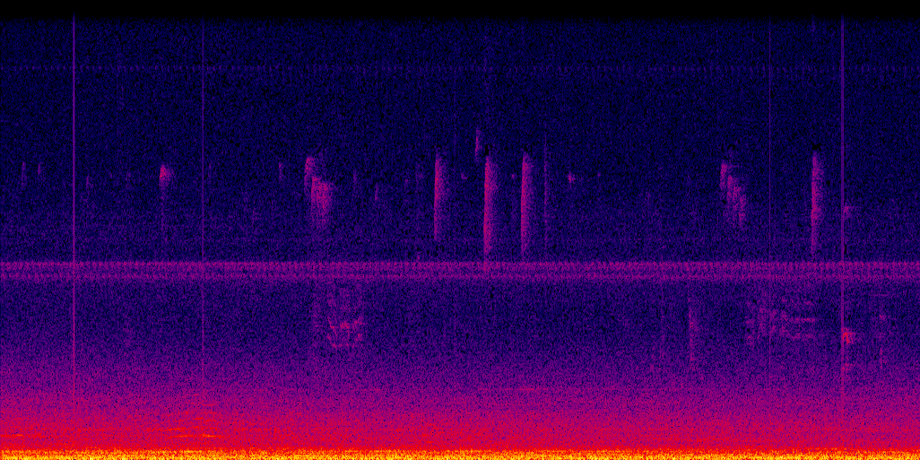 spectrogram