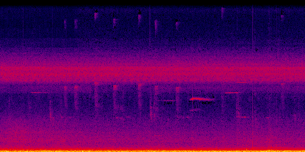 spectrogram