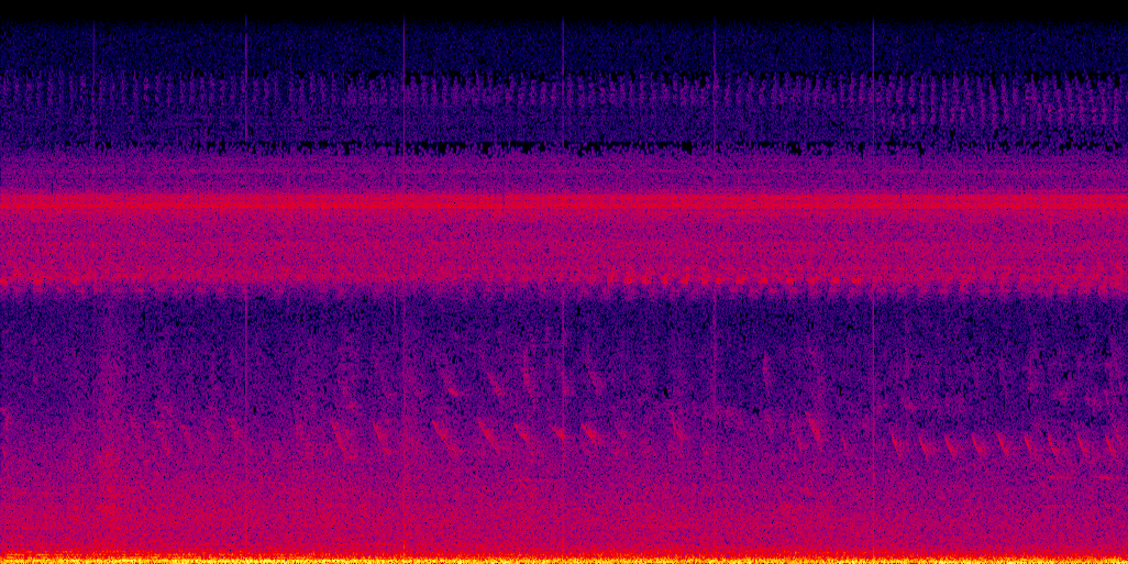 spectrogram