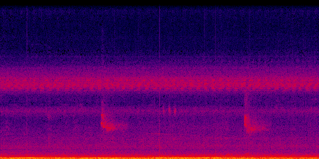 spectrogram