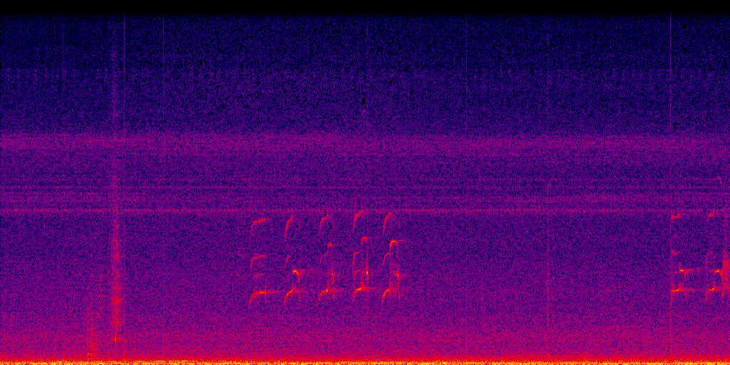 spectrogram
