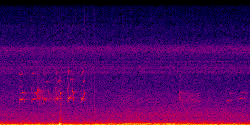 spectrogram
