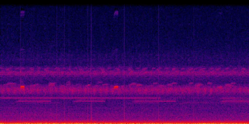 spectrogram