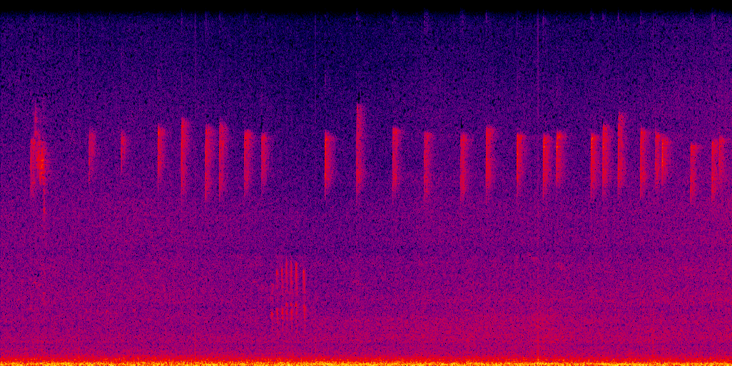 spectrogram