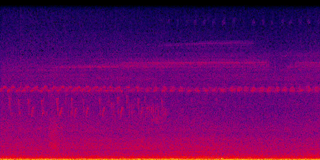 spectrogram
