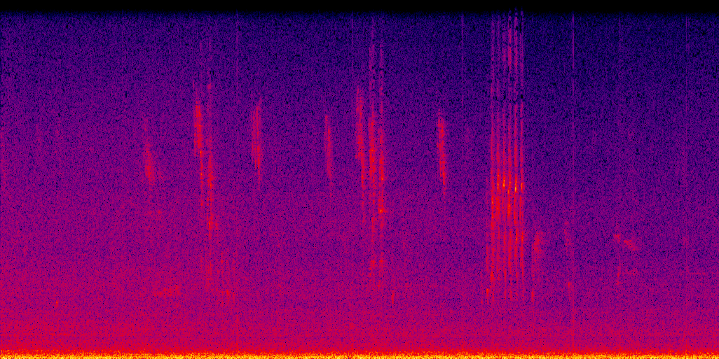 spectrogram