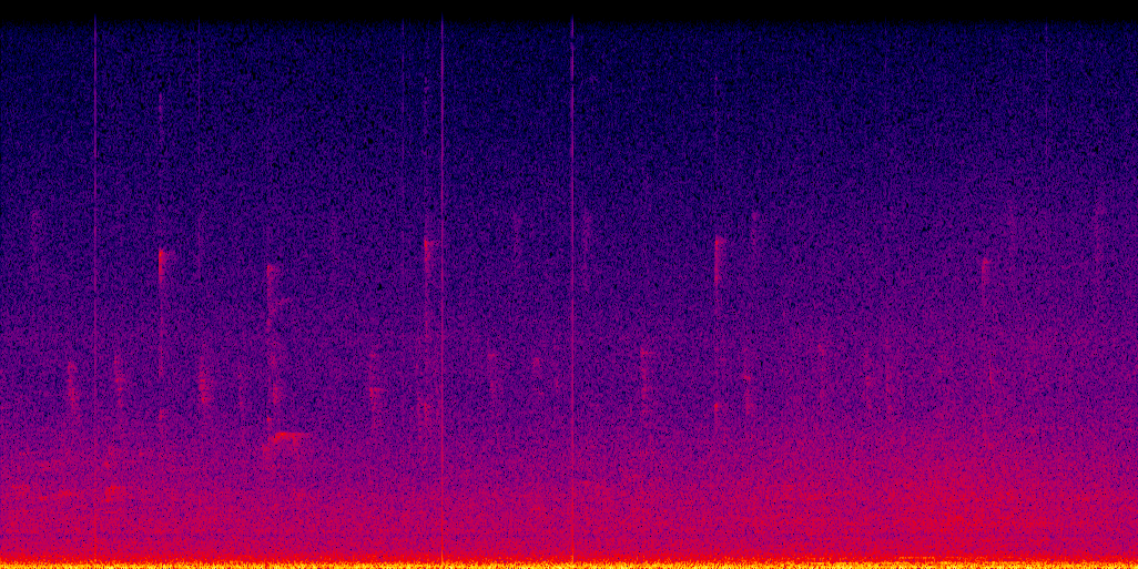 spectrogram