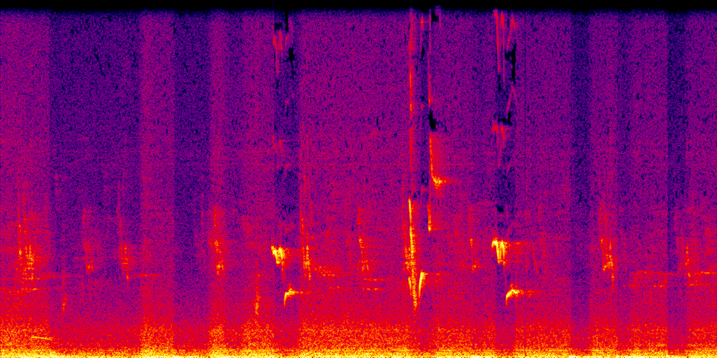 spectrogram